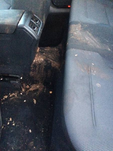 Vehicle Vomit Removal Odour, Puke In Car Seat